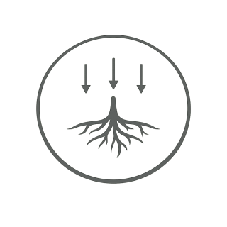 Trust That Nutrients Reach the Root Zone